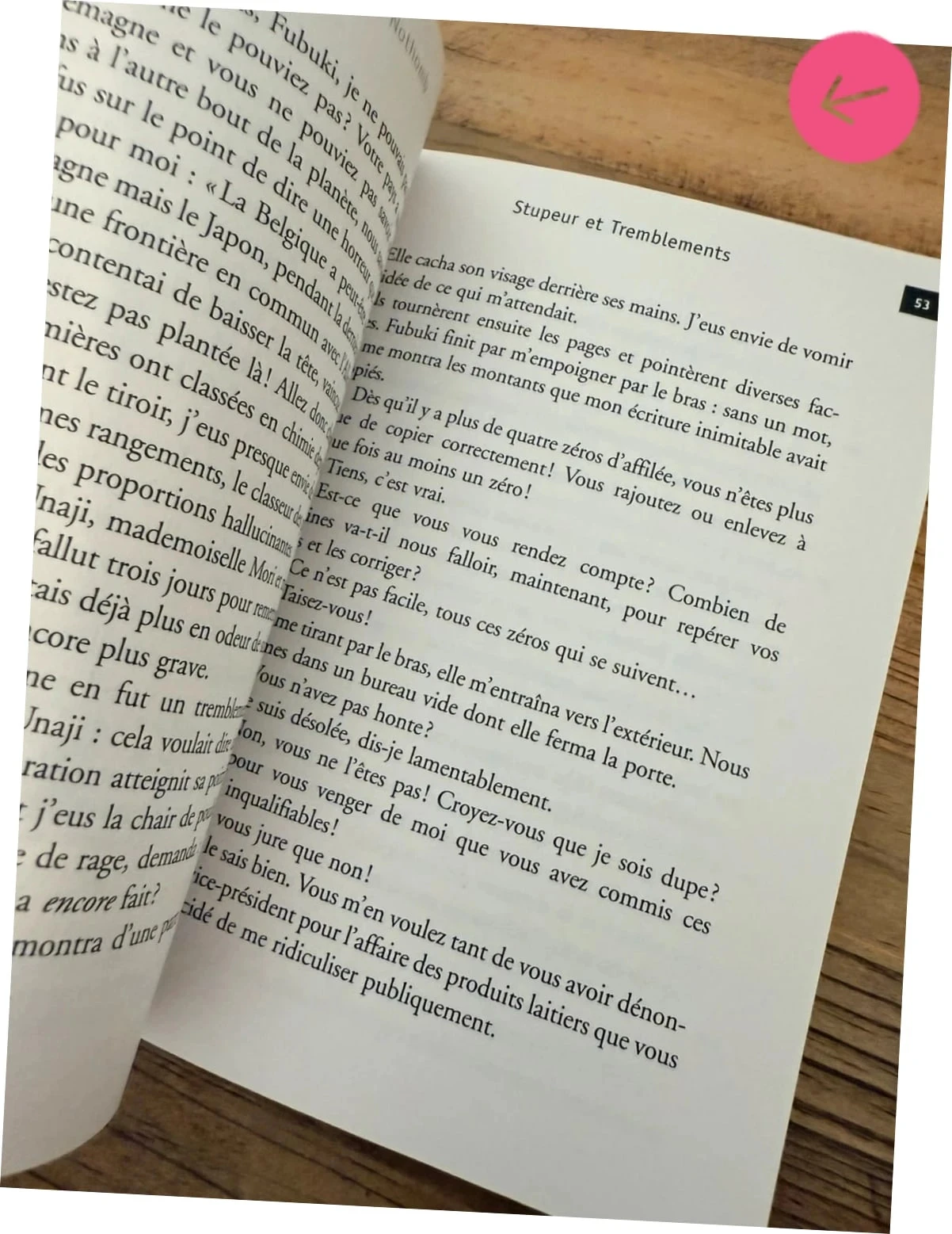 Book, Awe and Tremors – photo 6